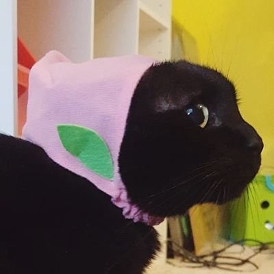 kuzzさんのプロフィール画像