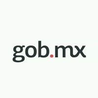 gob.mx(@gobmx) 's Twitter Profile Photo