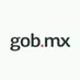 Twitter Profile image of @gobmx