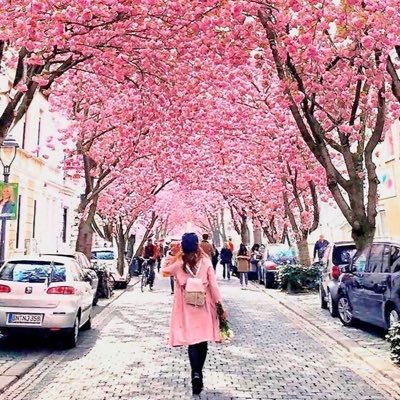 sho0ooooq's profile picture. فقط تَعلق بالله و لَن تُؤذيك خَيباتُ آلبشر♥♡