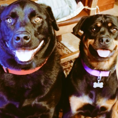 markwalton_ret's profile picture. Retired Army Warrant Officer.   Retired fire service.