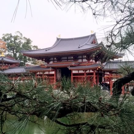 @1125__rui