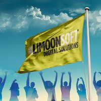 Limoonsoft(@limoonsoft) 's Twitter Profile Photo