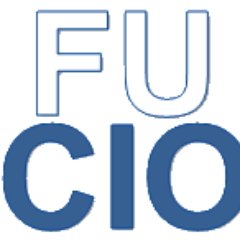 Who we are?
FUCIO network members are the CIOs, CDOs or IT managers of Finnish universities.