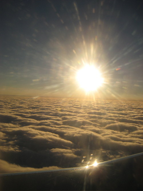 PICURN83's profile picture. An ordinary working mom’s perspective on politics, religion, environment, healthcare and life in general. Opinions appreciated. Disrespect not tolerated.