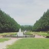 enaviewer's profile picture. IT関連のガバナンスとマネジメント寄りの人