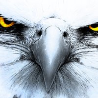 Crypt0 Eagle (@crypto0_eagle) 's Twitter Profile