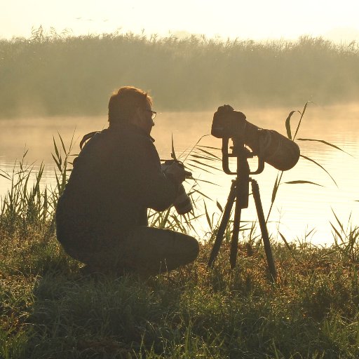 Journalism, #biodiversity Bird conservation, #naturephotography. Author of: Birds in the Holy Land and 