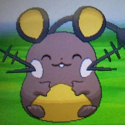 色違いの黒いデデンネ Shizarigani43 Twitter