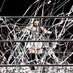 猫はるな (@haruna_tjpw) Twitter profile photo 猫はるな (@haruna_tjpw) Twitter profile photo