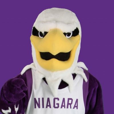 Official Mascot of Niagara Unviersity #EaglesTakeFlight