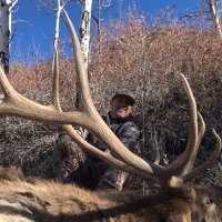 Steven Howe (@howe2wrstl) 's Twitter Profile