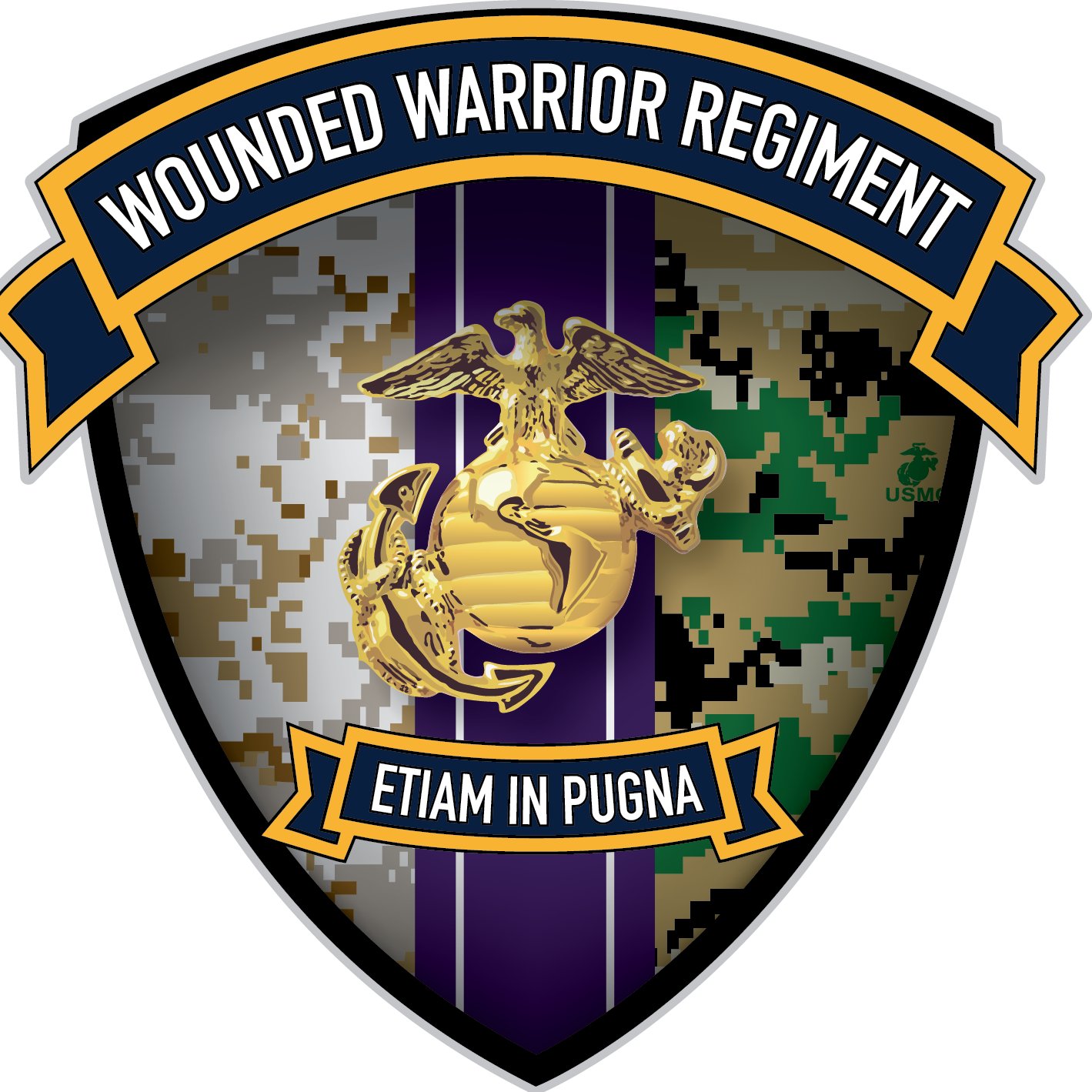 DISTRICT INJURED SUPPORT COORDINATOR - FL,MS,LA,PR FOR HQMC WOUNDED WARRIOR REGIMENT