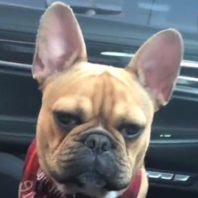 anthonyynl1's profile picture. 