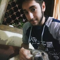 Leandro Garcia (@leandrogar01) 's Twitter Profile