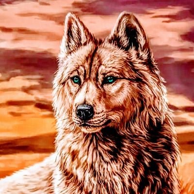 mo9PnkDvSHD9HiM's profile picture. 