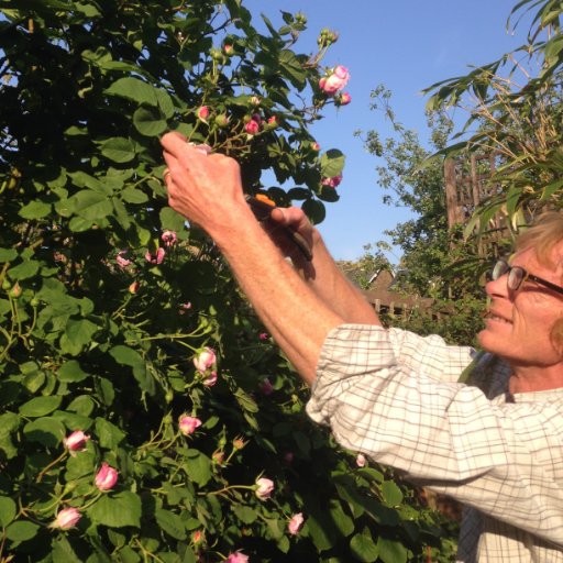 GardenerW7's profile picture. Born to garden. Local plant care & advice #Gardener #Hanwell #Northfields #Ealing #Chiswick #shoplocal #localbiz