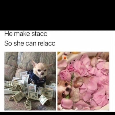 PML_49ers_PS4's profile picture. 