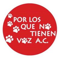 Por los que no tienen voz (@notienenvoz) 's Twitter Profile