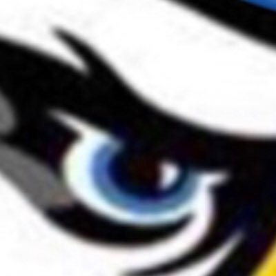 GV Eagles Baseball Profile