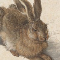Hase Dubleibsthier (@dubleibsthier) Twitter profile photo