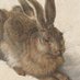 Hase Dubleibsthier (@dubleibsthier) Twitter profile photo Hase Dubleibsthier (@dubleibsthier) Twitter profile photo