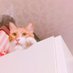 Wiz (@ow_wiz) Twitter profile photo Wiz (@ow_wiz) Twitter profile photo