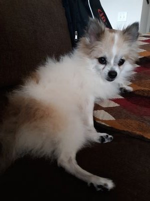 yralim1's profile picture. 