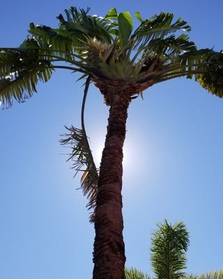 Dan_DuFromage's profile picture. Visual content creator with an eye for overlooked details.

Video for promo use:
https://t.co/U5phj5NMTZ