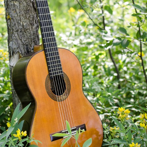 LorianBartle's profile picture. Lorian Bartle #ClassicalGuitarist and #MusicTeacher in the #DenverMetroArea  Tumblr: https://t.co/CJ4Z2FFVos