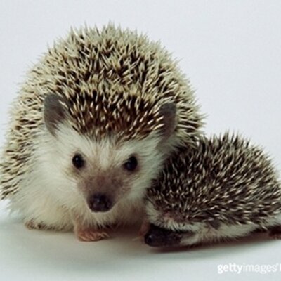 40th_life's profile image