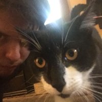 Xnorre (@xnorre2123) 's Twitter Profile