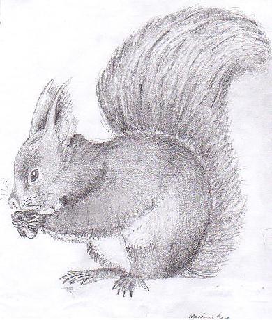 madmazda86's profile picture. 