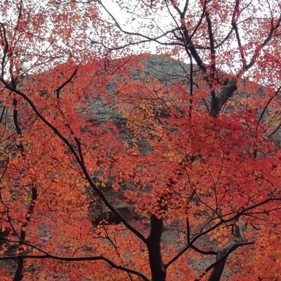 lsr389's profile picture. 