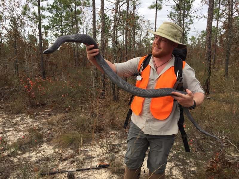 Research Coordinator for the @OrianneSociety. Conservationist, international field herper, amateur photographer, backpacker, & lover of all things wild.