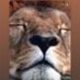 بيطري (@dr_veterianry) Twitter profile photo بيطري (@dr_veterianry) Twitter profile photo