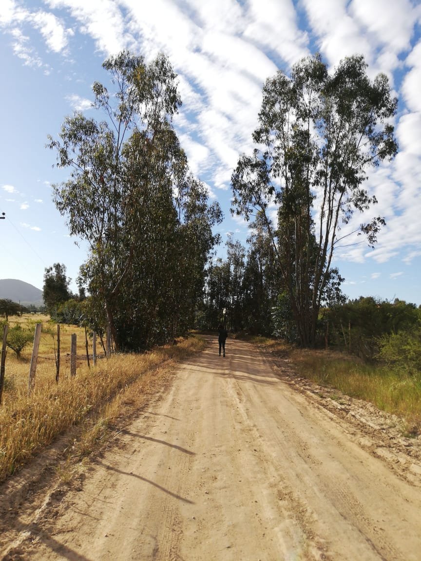 CarolivCarol's profile picture. Peter Quinn's Widow💔 ||