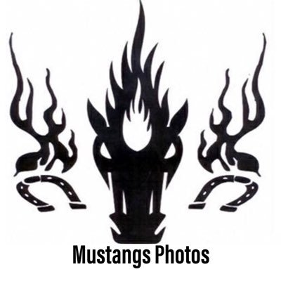Mustangs_Photos Profile Picture