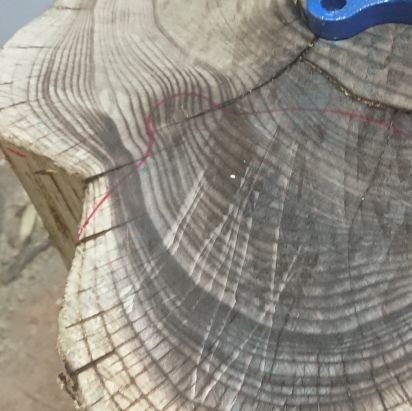 higuma_tha_bear's profile picture. 北の国のほうから。作るの好きです。技術レベル的に、「やってます！」と言うにはとても恐れ多いが興味のままに手を動かします。でも好きなら良いじゃん！