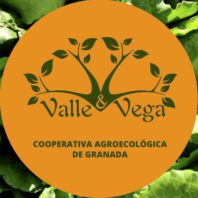 🌱Cooperativa de productores y productoras ecológicos de Granada
🍞🍊🍋🍆🍇
📦 Tienda on line para reparto a cualquier punto
🏠Tienda en Churriana de la Vega.