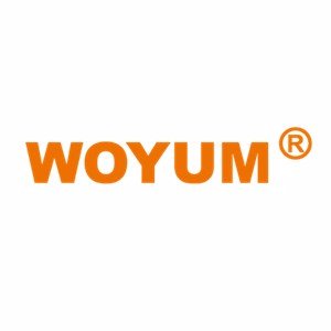 WoyumCharger's profile picture. WOYUM specialized in researching, manufacturing and selling Li-ion/Ni-MH/Ni-CD battery charger, Car charger etc.