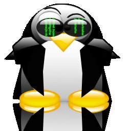 zoliv37's profile picture. 