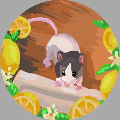 ちみんさんのプロフィール画像