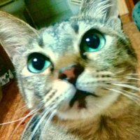 アトム (@atom6453) 's Twitter Profile