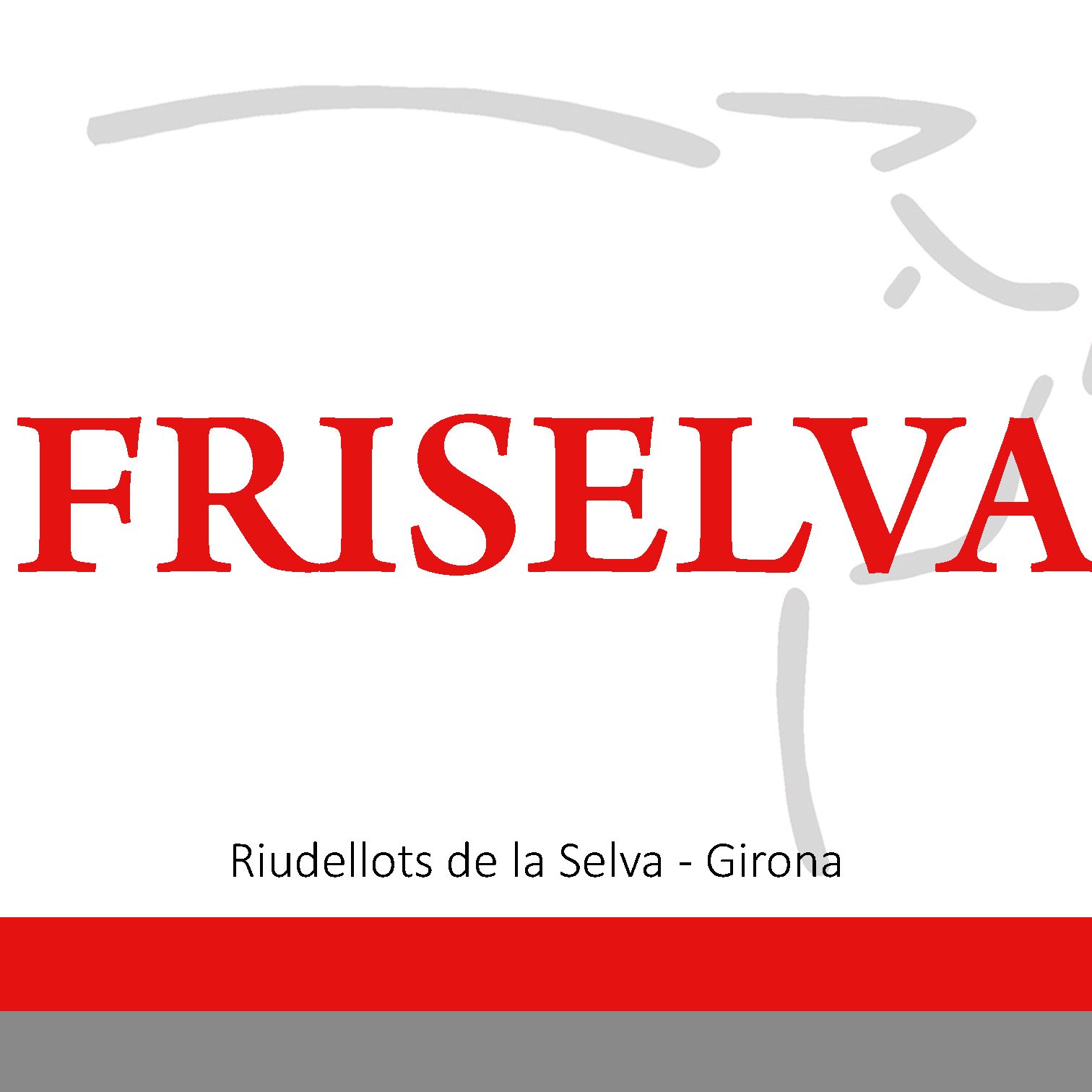 FRISELVA SA Profile