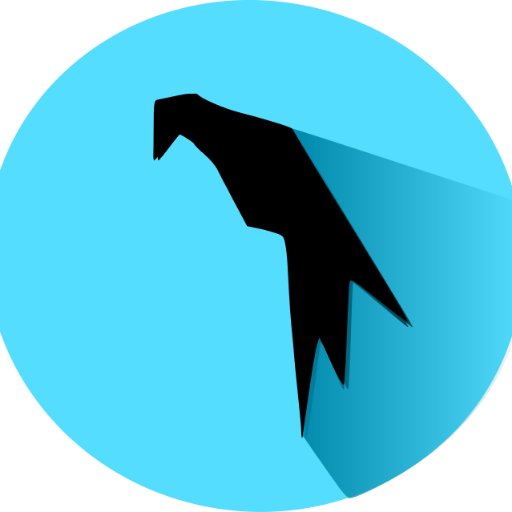 GrayHat Hack! Host & Local Network Security. Mentor in Phyton & Java Coding