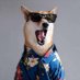 Lee (@howardl05207252) Twitter profile photo Lee (@howardl05207252) Twitter profile photo