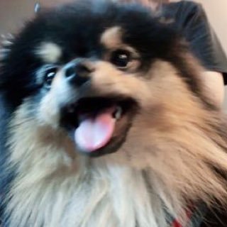 よんたん (@yontan_bts) / Posts / X