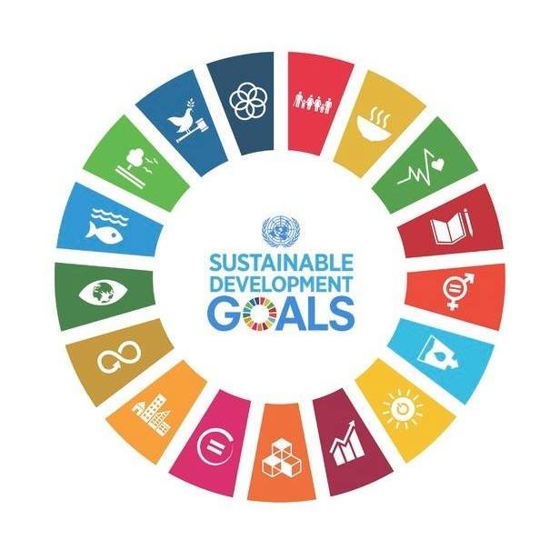 BalochistanSDGs Profile Picture