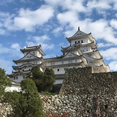 gino520917's profile picture. 